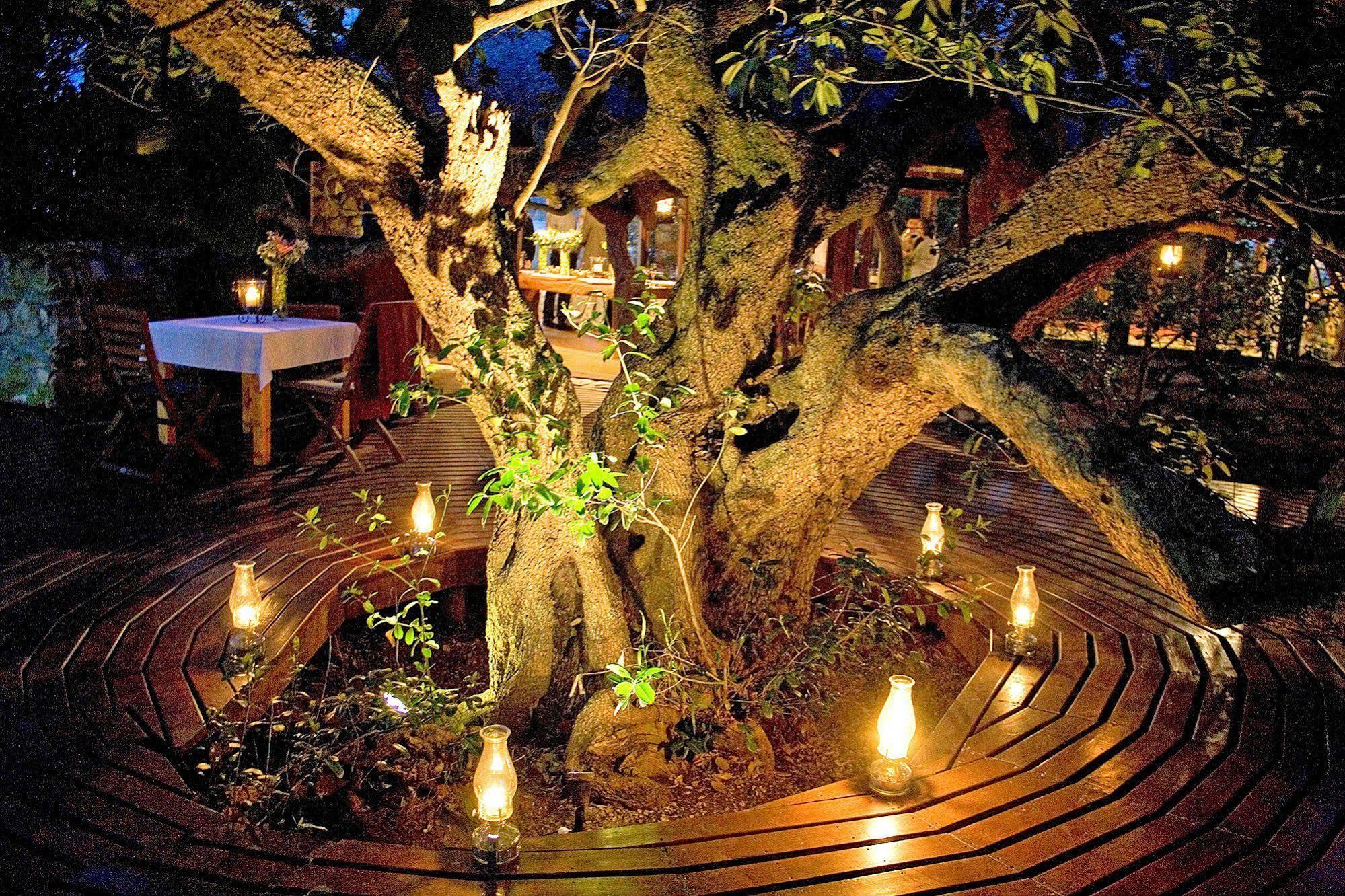 Mosaic Lagoon Lodge แสตนฟอร์ด ภายนอก รูปภาพ